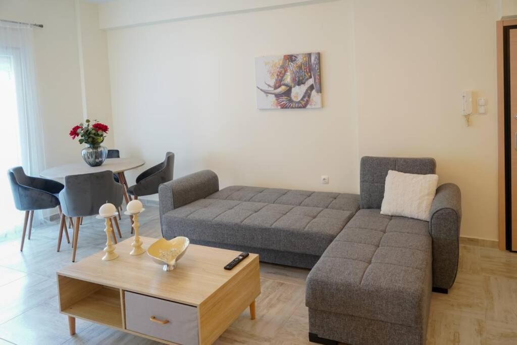 Modern Apartment In The City Center Ioannina Bagian luar foto